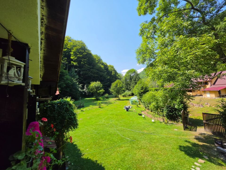 🏡 PROPRIETATE EXTRAORDINARĂ– LOTRIOARA, JUDEȚUL SIBIU! 🌲 – fotografia 7 din 72