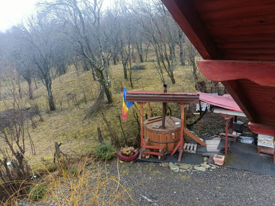 Cabană de vânzare în Bistra-Mureșului, com Deda, sau schimb – fotografia 9 din 21