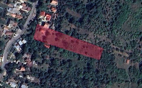 Teren cu Potențial Excepțional | 4.300 mp | Zonă Exclusivă de Case