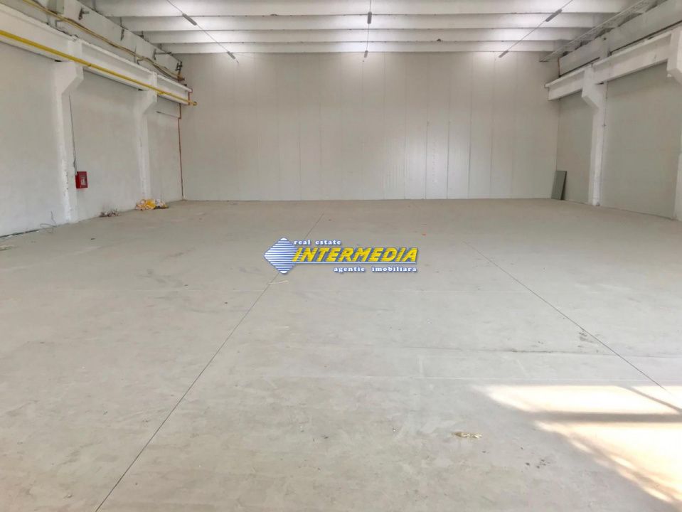 Hale Productie Depozitare Alba Su. de la 1725 mp. - 4000 mp. finisata complet – fotografia 6 din 11