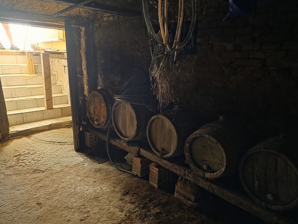 Casa la tara, Apoldul de Sus, 4 camere dormitoare, anexe, pivnita, teren 1200 mp – fotografia 40 din 43