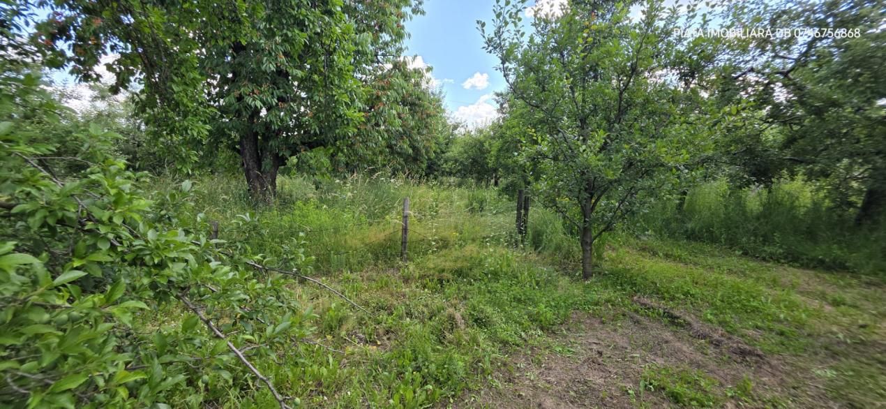 Casă individuală de vânzare, 6 camere, subsol 110 mp, teren 5.753 mp – Cândești – fotografia 13 din 16