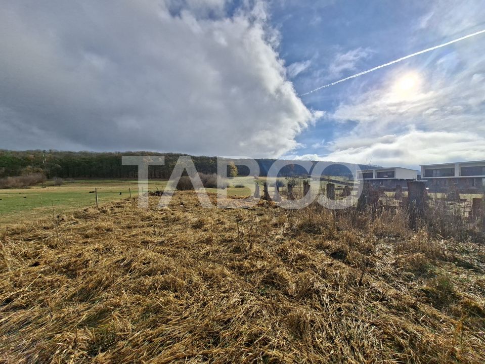 Teren intravilan de vanzare in Rasinari zona Calinis - 890 mp – fotografia 6 din 6