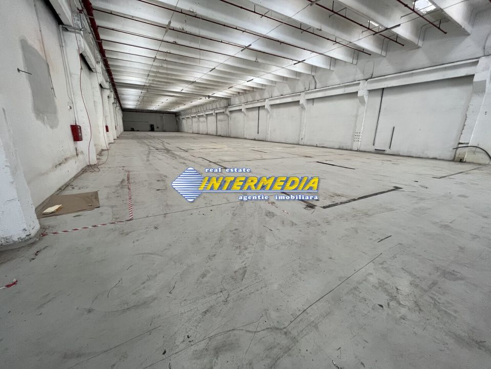 Hale Productie Depozitare Alba Su. de la 1725 mp. - 4000 mp. finisata complet – fotografia 11 din 11