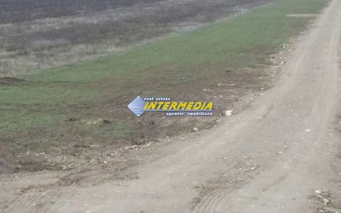 Teren Intravilan de vanzare 5000mp Alba-Micesti