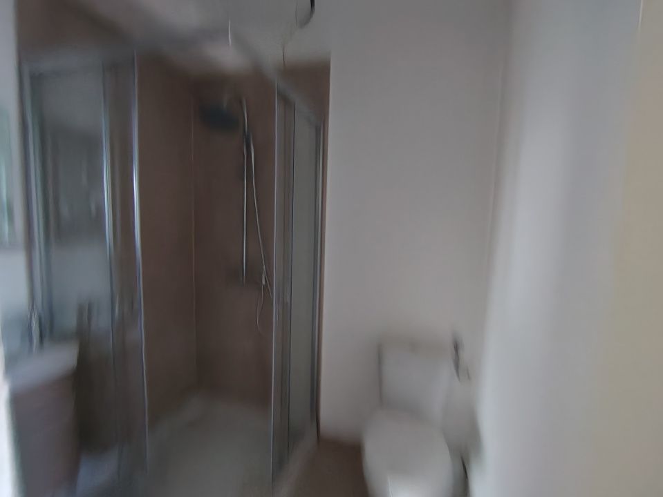 COMISION 0%-Casa individuala 5 camere, Sacalaz - Zona de Vest – fotografia 54 din 56