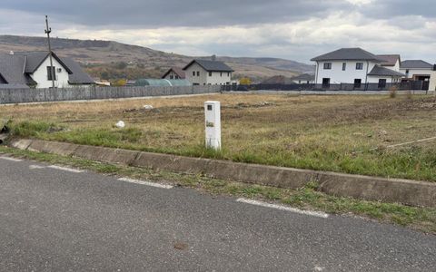 Teren intravilan 1775mp in Chinteni