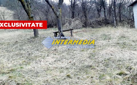 Teren Intravilan in Paclisa 1450 mp cu Puz aprobat