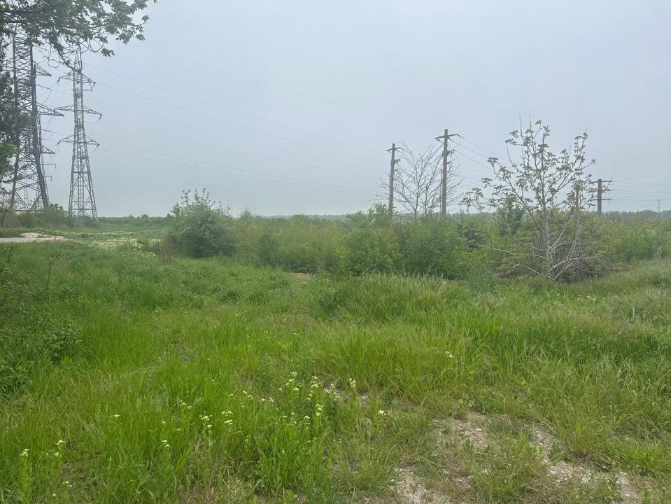 Investitie Litoral! Teren intravilan de vanzare | 46.000mp | Neptun – fotografia 13 din 24