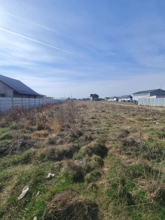 Terenuri Clinceni - 2.500mp -> 15 Ha – fotografia 7 din 13