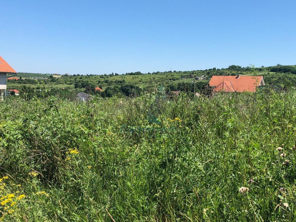 Teren intravilan de vanzare, zona de dealuri, Oradea, Bihor – fotografia 4 din 4