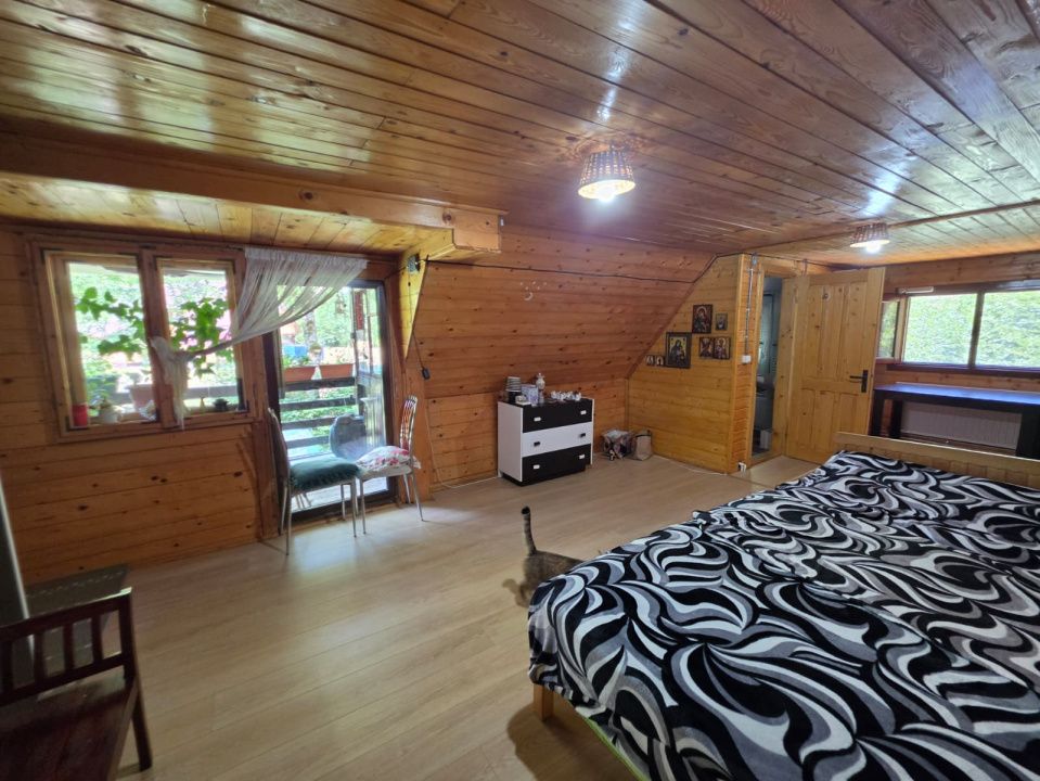 🏡 PROPRIETATE EXTRAORDINARĂ– LOTRIOARA, JUDEȚUL SIBIU! 🌲 – fotografia 41 din 72