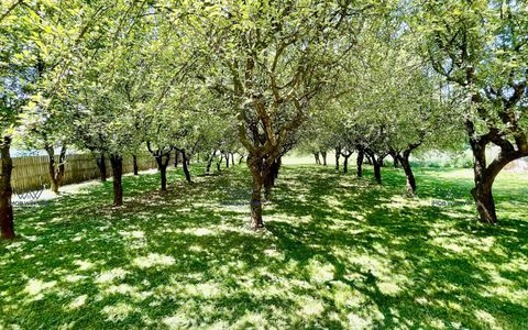Proprietate Excepțională cu Potențial Dublu în Valea Ursului, Argeș