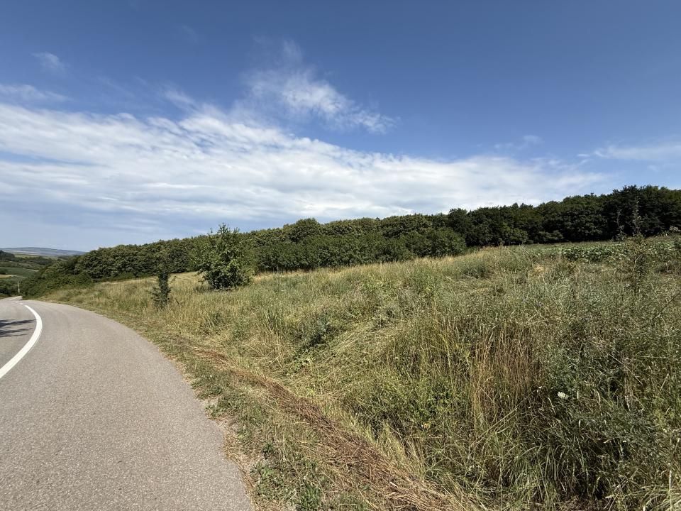 Teren intravilan 6297mp în Com. Mociu , Zorenii de Vale – fotografia 5 din 13