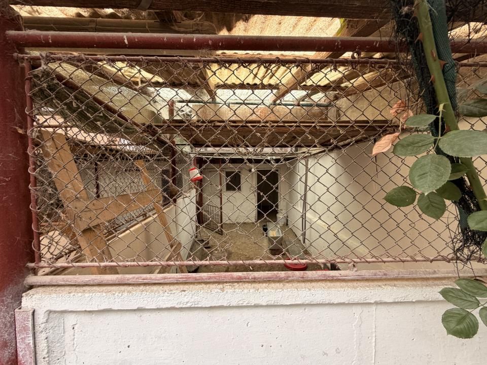 Casa individuala 300 mp, utili, 1100 mp gradina - Sag – fotografia 31 din 37