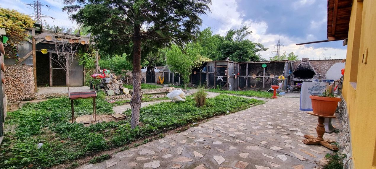 Casă parter cu teren de 1400 mp în Bariera Vâlcii aproape de drumul expres – fotografia 6 din 24