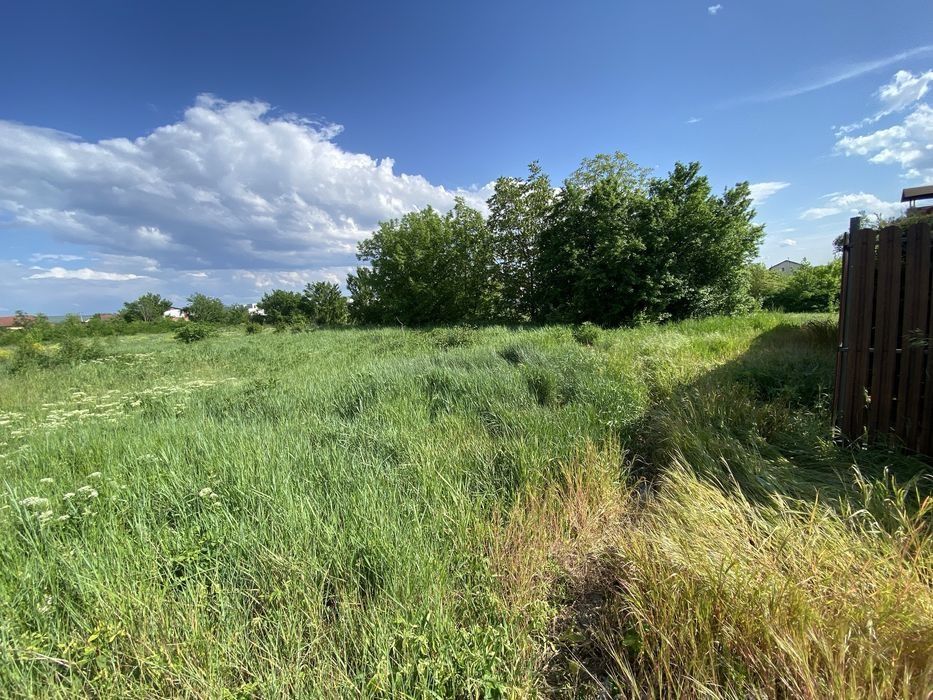 TEREN CU PROIECT I CASA PE UN NIVEL I 471 MP I CETATE I ZONA FOARTE BUNA I – fotografia 1 din 8