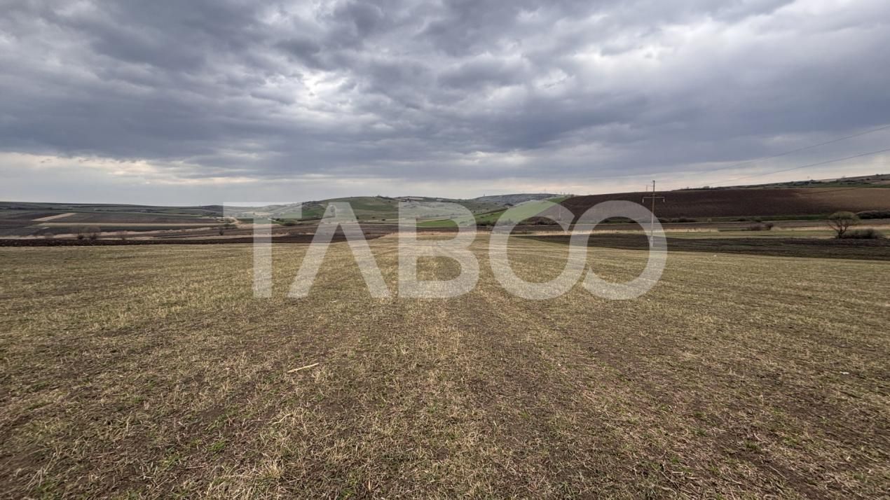 OPORTUNITATE INVESTITIE Teren de vanzare Sura Mare 24000 mp – fotografia 5 din 5