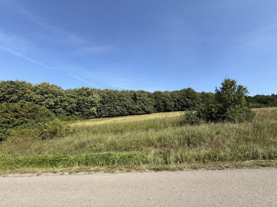 Teren intravilan 6297mp în Com. Mociu , Zorenii de Vale – fotografia 1 din 13