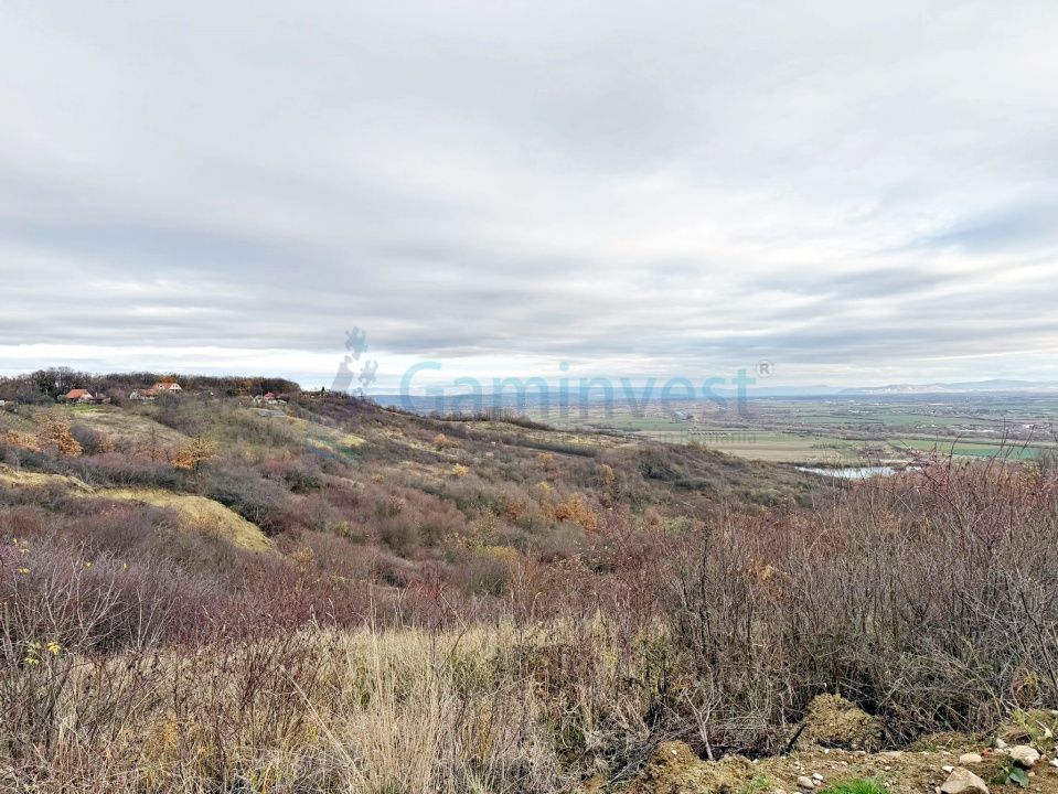 Parcela de teren extravilan, langa padure, zona Gheorghe Doja, Oradea – fotografia 3 din 4