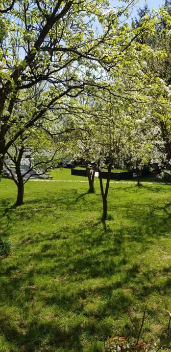 Refugiu de Lux în Inima Naturii Cabană Premium cu Piscină, Jacuzzi și 2000 mp – fotografia 10 din 22