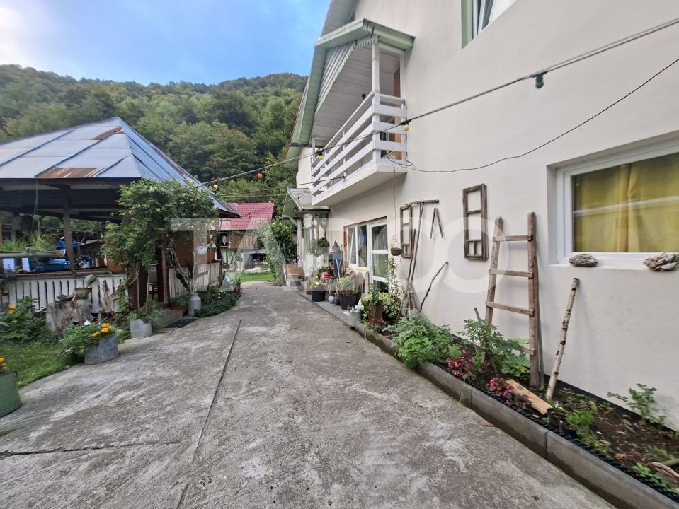 Spatiu de vanzare in Valea Macesului judel Valcea iesire la Lotru – fotografia 45 din 49