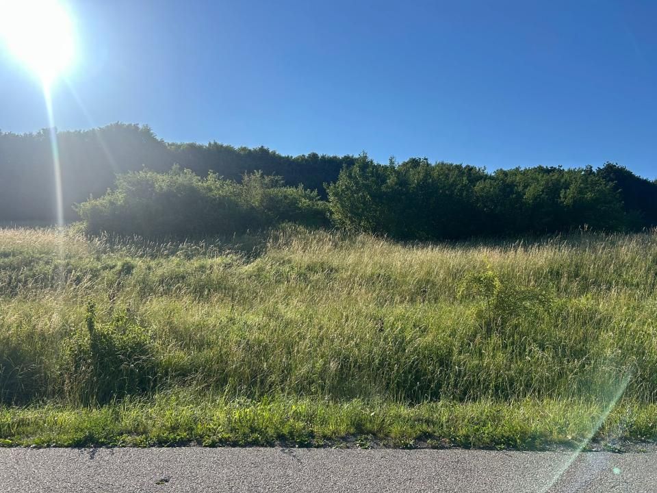 Teren intravilan 6297mp în Com. Mociu , Zorenii de Vale – fotografia 10 din 13