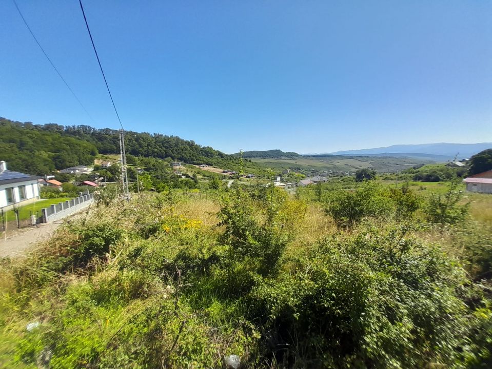 TEREN 990MP,VALEA JELNII – fotografia 2 din 3