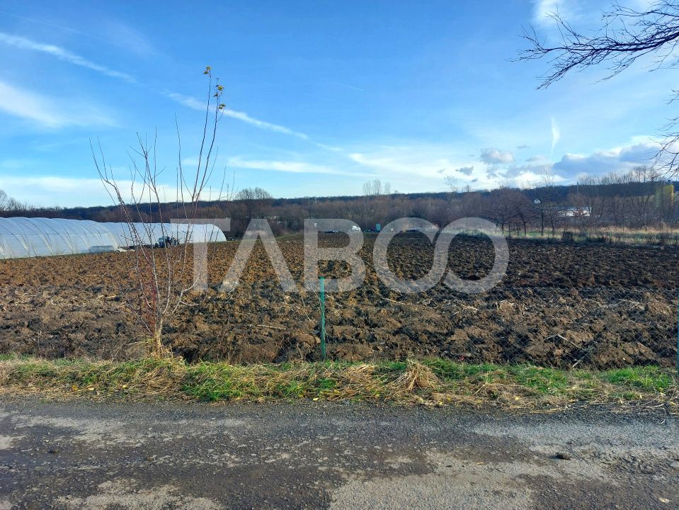 Teren intravilan 1687 mp pentru cabana zona de gradini Cisnadie – fotografia 5 din 7