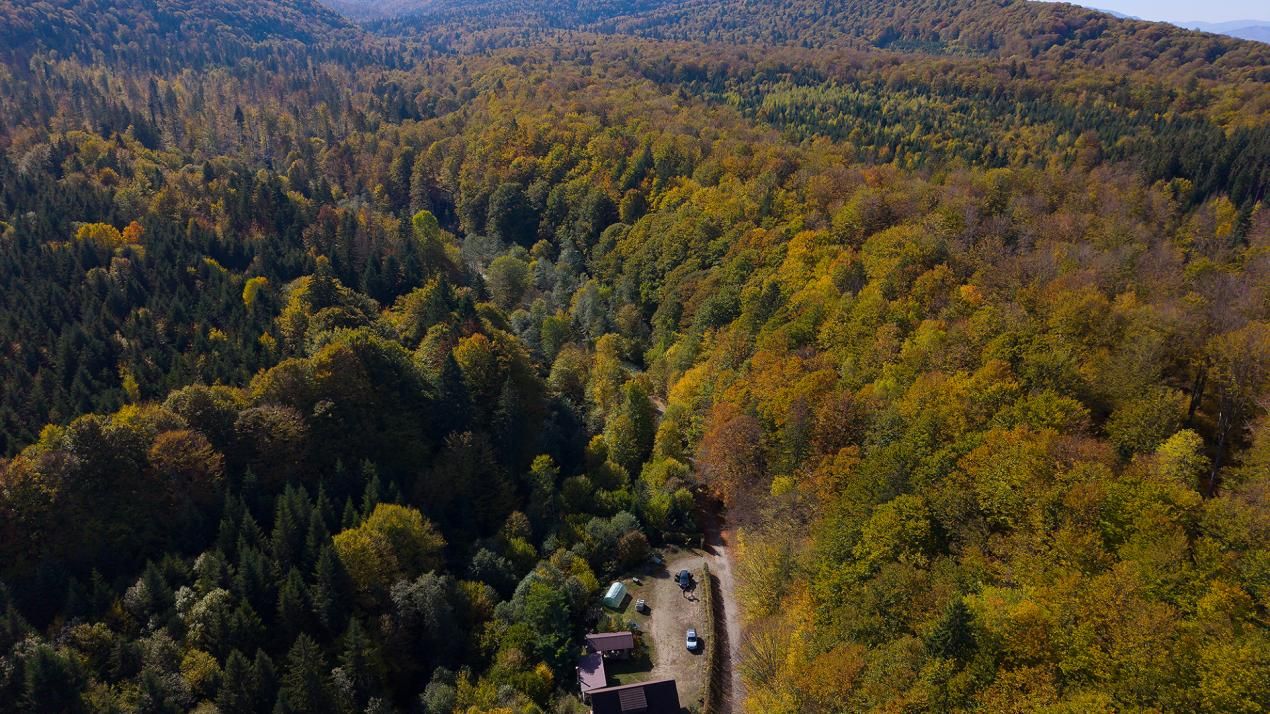 Teren 2.000 mp în Valea Avrigului Pădure, apă curgătoare și liniște – fotografia 7 din 10