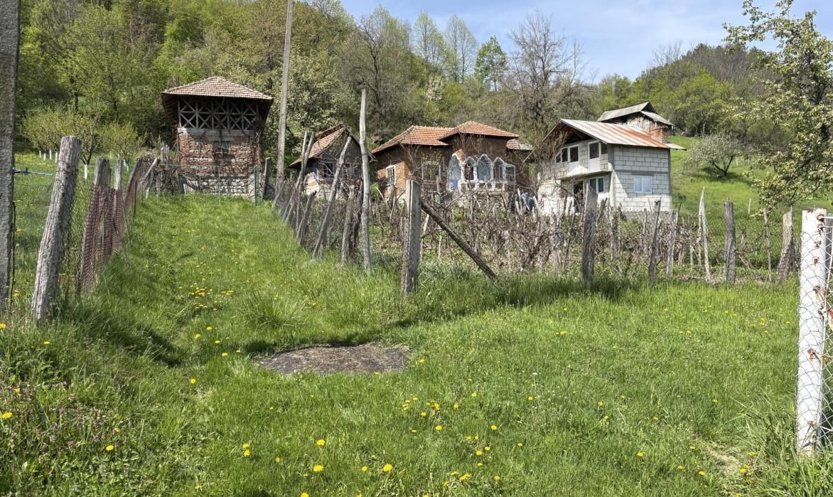 14.613 mp teren | Casă la roșu și 2 case tradiționale | 1,5 km de A1 Tigveni – fotografia 5 din 10