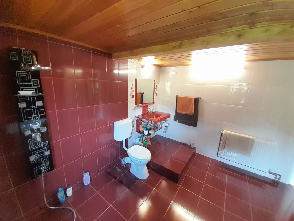Casa individuala 4787mp teren,zona RUSU BARGAULUI – fotografia 20 din 32