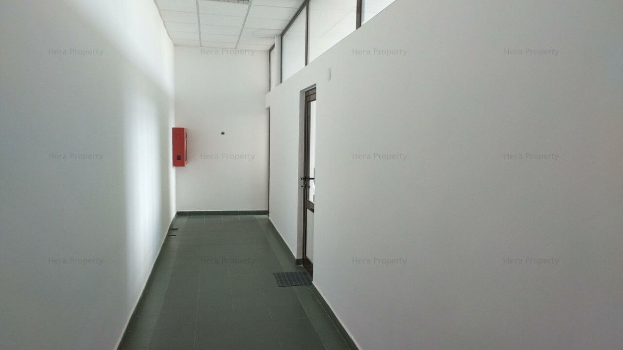 Închiriere pavilion administrativ, opțional cu hale industriale în Galați – fotografia 31 din 48