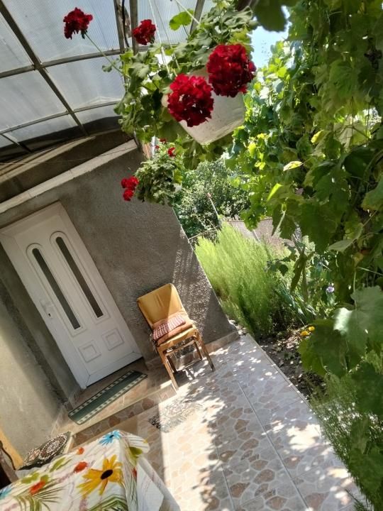Casă 60 mp utili, teren 1.400 mp | Borșa (Răscruci), Cluj – fotografia 6 din 16