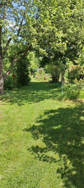 Teren intravilan Tocile, 1.093 mp / livadă, cabană, rulotă și o toamna frumoasă! – fotografia 34 din 37