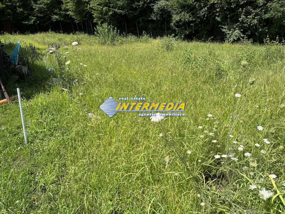 Teren Intravilan | 850 mp. | Alba Micesti | Apa Curent | Gaz | Panoramic – fotografia 4 din 9