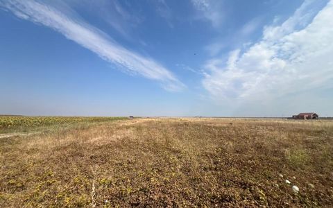 Teren intravilan, 733mp, posibilitate investitie- Sanandrei