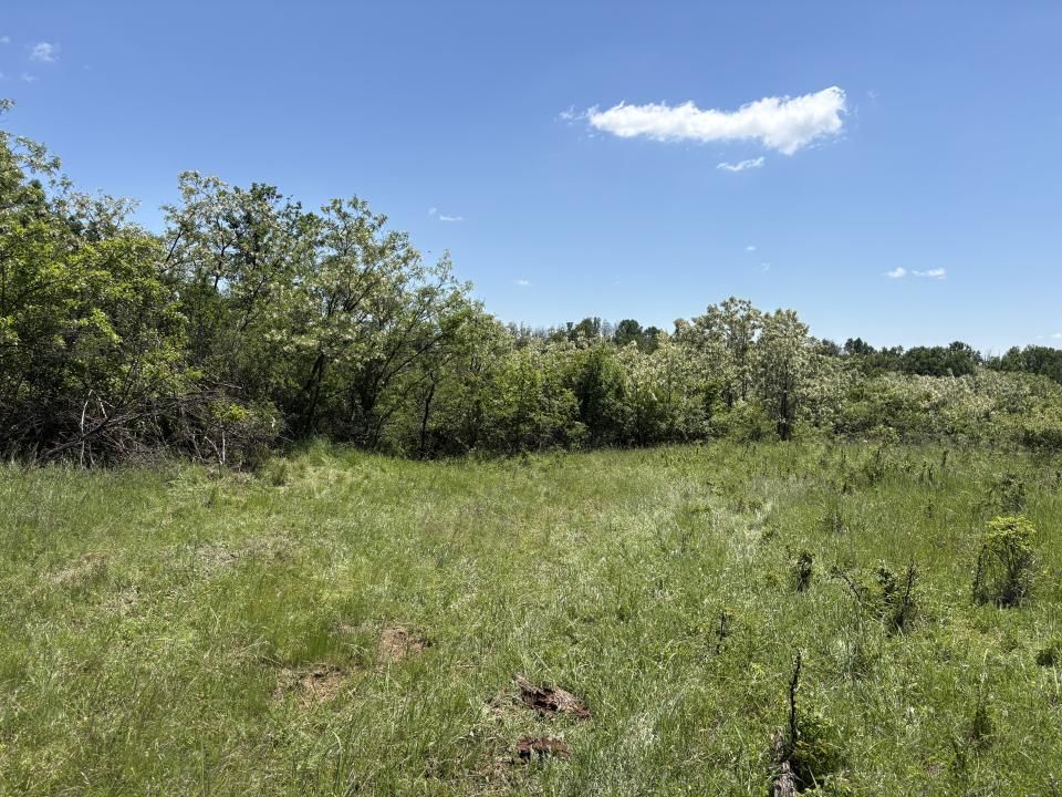 Intravilan 3015 mp Moșoaia | 48 ml deschidere | Lângă pădure – fotografia 5 din 7