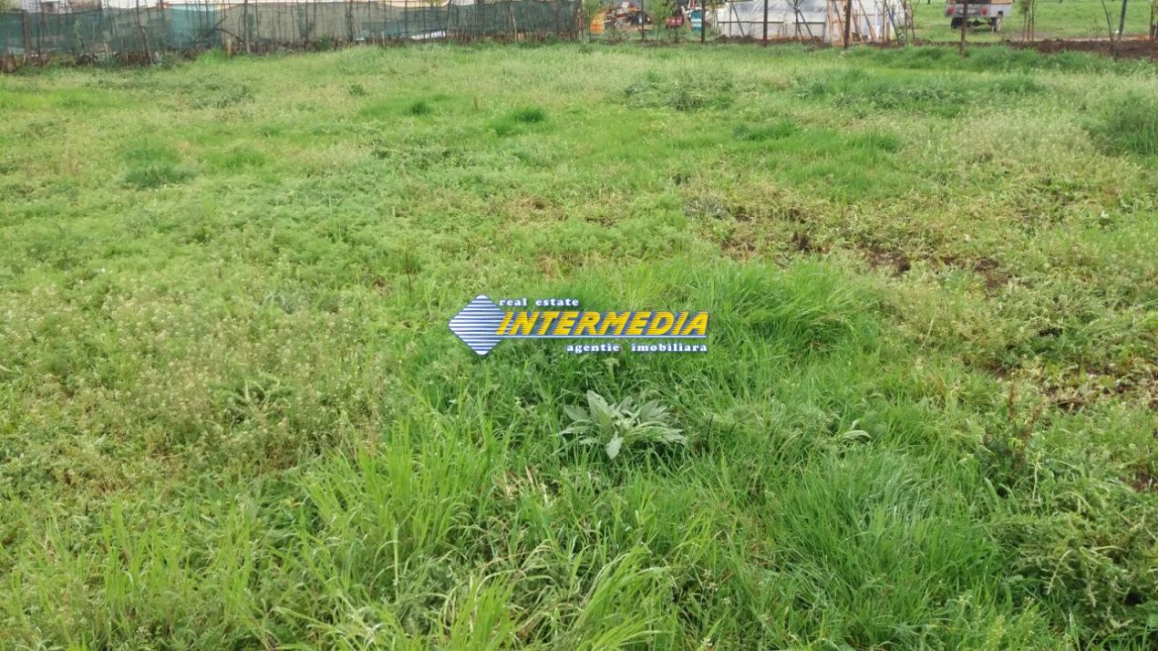 Teren Intravilan 400mp de vanzare zona Oarda – fotografia 1 din 1
