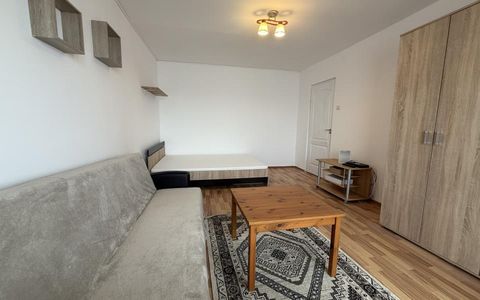 Apartament spatios, o camera, 31 mp utili + balcon - Buziasului