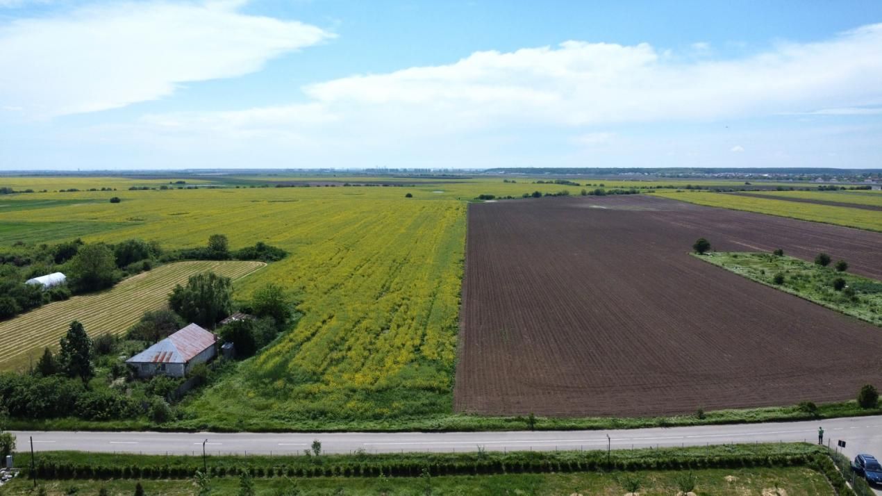 Oportunitate Investiție/Construcție: Loturi 400mp Creața(Dascălu) | Acces DC185 – fotografia 9 din 13