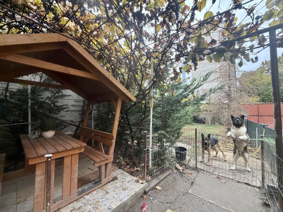 P5035 Casa individuala cu 3 camere in zona Sagului – fotografia 19 din 28