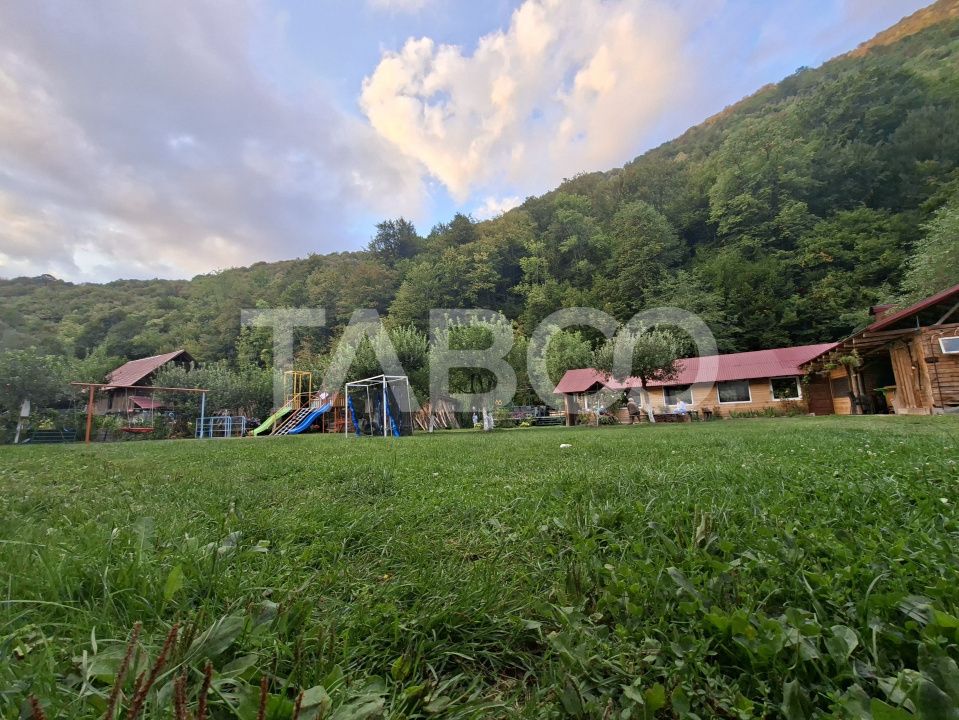 Spatiu de vanzare in Valea Macesului judel Valcea iesire la Lotru – fotografia 46 din 49