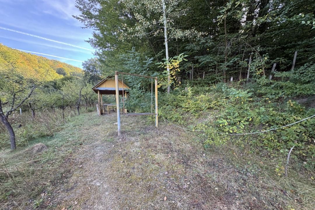 Micesti 12 km de Pitesti/ 2 cabane/ 2.500 mp teren/ priveliste superba – fotografia 6 din 15