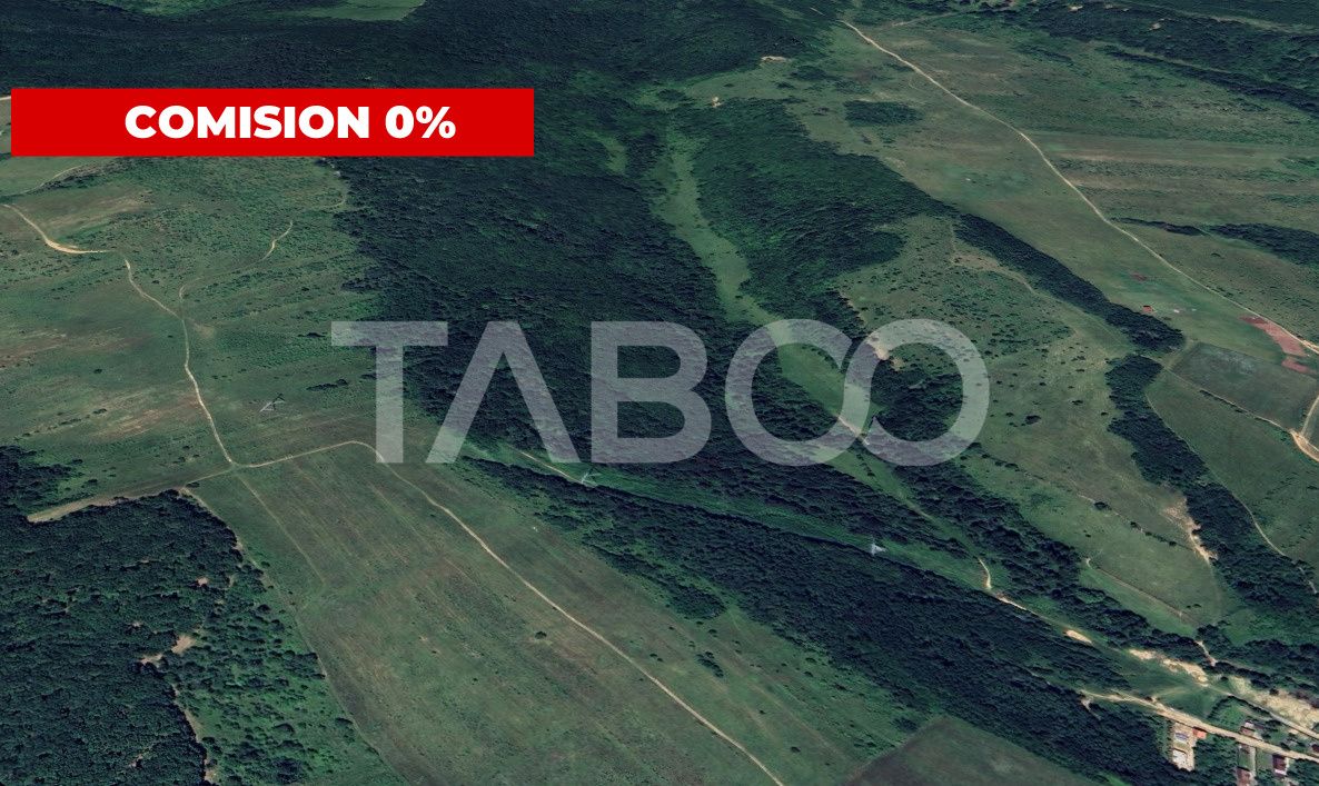 Padure de vanzare 127.000mp langa Mag in judetul Sibiu – fotografia 1 din 2