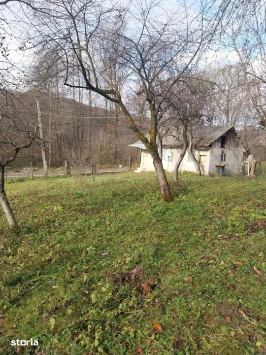 Teren de vanzare 2200 mp, Raul Alb ,DB – fotografia 1 din 6
