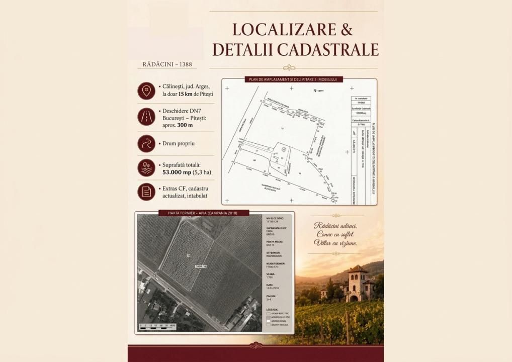 Domeniu viticol 5,5 ha, Conac boieresc | Călinești, Argeș – fotografia 3 din 4