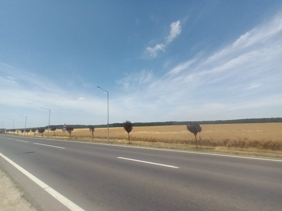 Teren Vanzare Intravilan Branesti investitie Zona Industriala Makita – fotografia 34 din 35