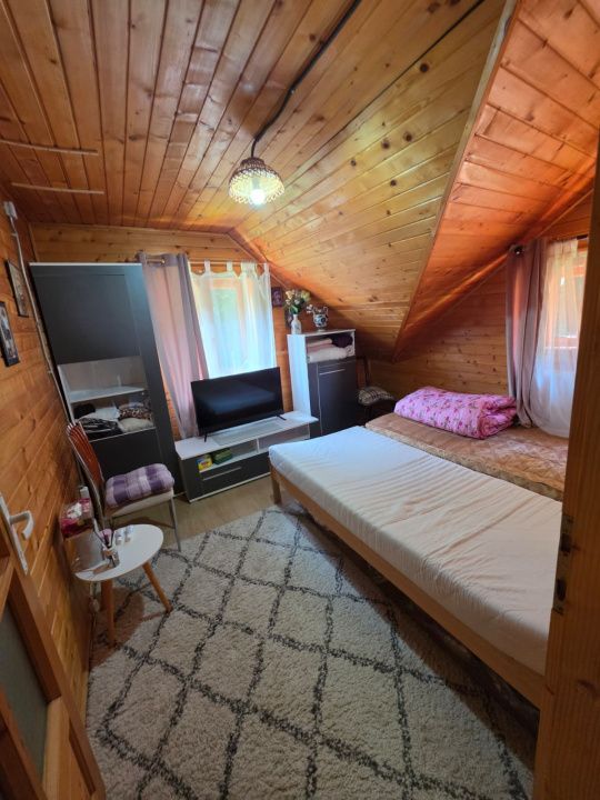 🏡 PROPRIETATE EXTRAORDINARĂ– LOTRIOARA, JUDEȚUL SIBIU! 🌲 – fotografia 29 din 72