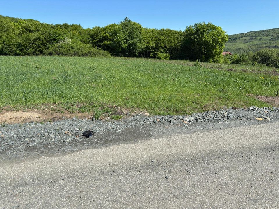 Teren Extravilan de 2.900 mp la Limita Intravilanului – Popești, Cluj – fotografia 3 din 4